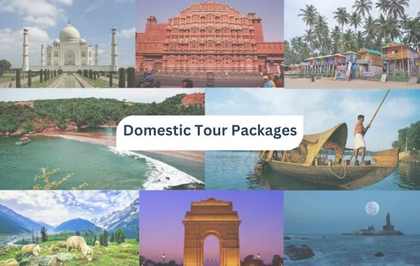 Domestic tour packages